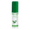 FRESH BREATH MOUTH SPRAY GREEN