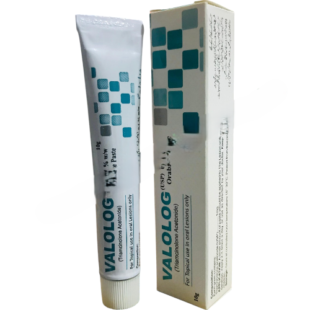 VALOLOG ORABASE PASTE 10G CHEMISTCART