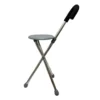WALKING STICK EITH GRAY SEAT - CHEMISTCART