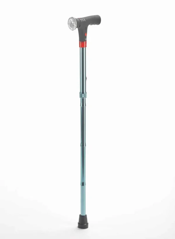 WALKING STICK LIGHT- CHEMISTCART